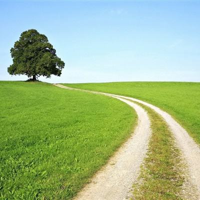 乐鱼app官方下载入口