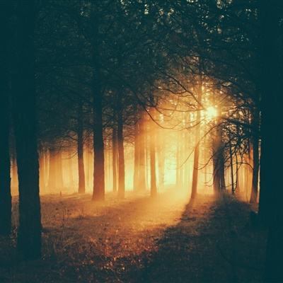 米乐m6登录米乐平台