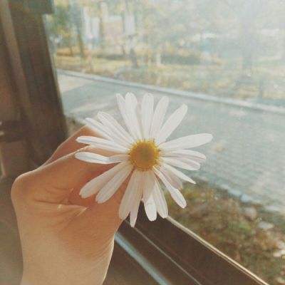 彩神8官网手机app下载