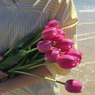 亚搏全站APP官网下载