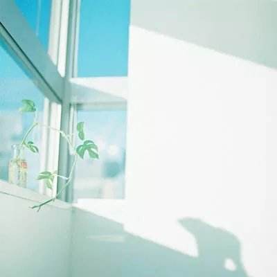 博鱼app手机app下载